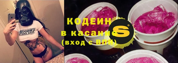 крисы Алексин