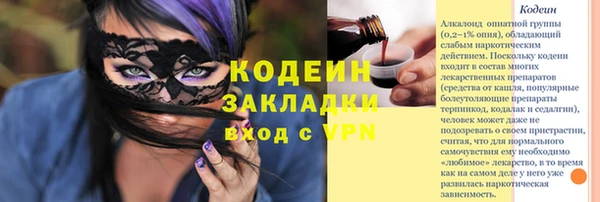 индика Абаза