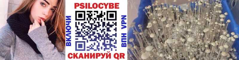 ссылка на мегу как зайти Стерлитамак Галлюциногенные грибы GOLDEN TEACHER